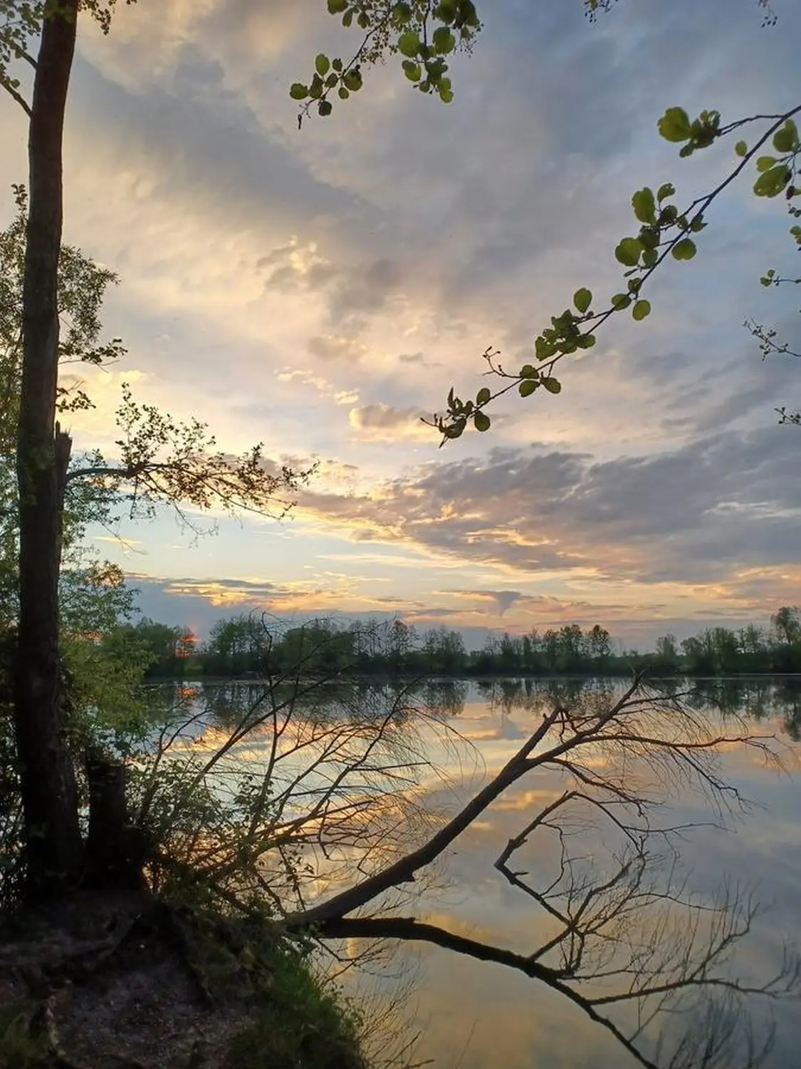 Nino del Garda – ein wunderschöner Seeblick